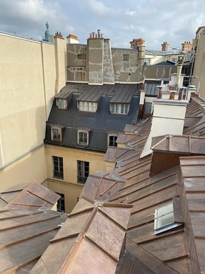 Vue aérienne de toitures parisiennes avec immeubles haussmanniens