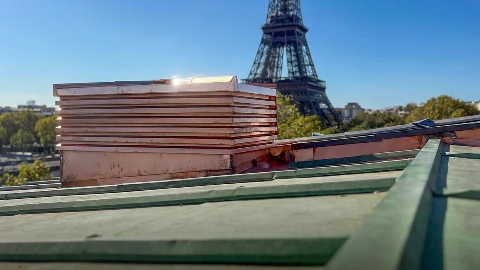 Concept de bâtiment résidentiel en construction